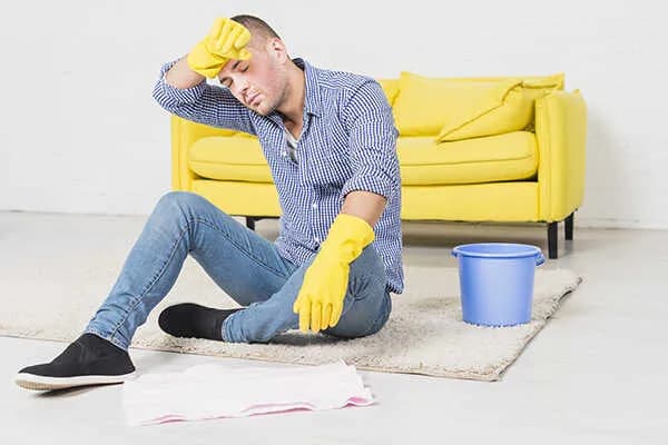 Skuteczne sposoby na pozbycie się zapachu moczu kota z kanapy